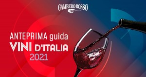 anteprima-guida-vini-sezione-web