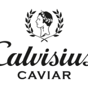 LogoCalvisius